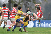 URBA TOP 12