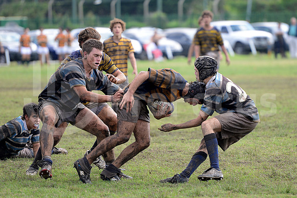 Rugby Juvenil 2013