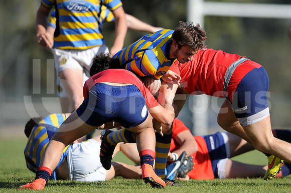 JUVENILES URBA 2015