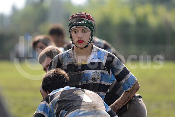 Rugby Juvenil 2013