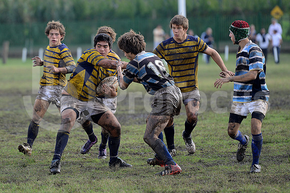 Rugby Juvenil 2013