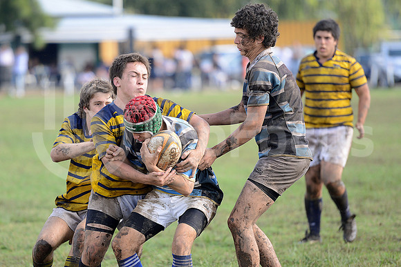 Rugby Juvenil 2013