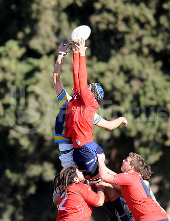 JUVENILES URBA 2015