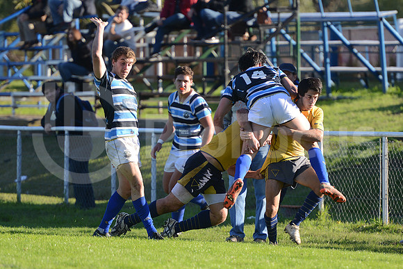 Rugby juvenil M20 2014