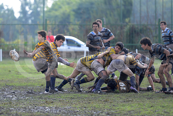 Rugby Juvenil 2013