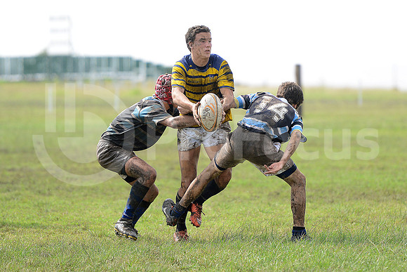 Rugby Juvenil 2013