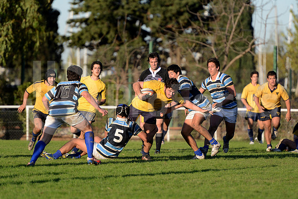 Rugby juvenil M20 2014