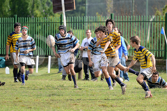 Rugby Juvenil 2013