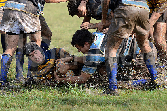 Rugby Juvenil 2013