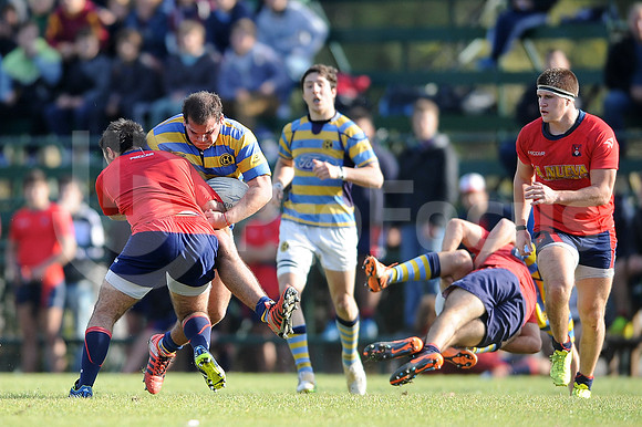 JUVENILES URBA 2015