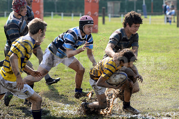 Rugby Juvenil 2013