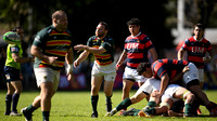CURUPAYTI 31 vs LOMAS ATHLETIC 22