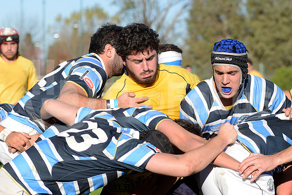 Rugby juvenil M20 2014