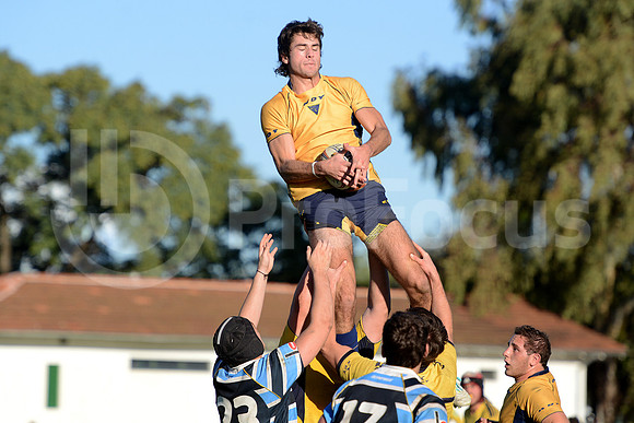 Rugby juvenil M20 2014