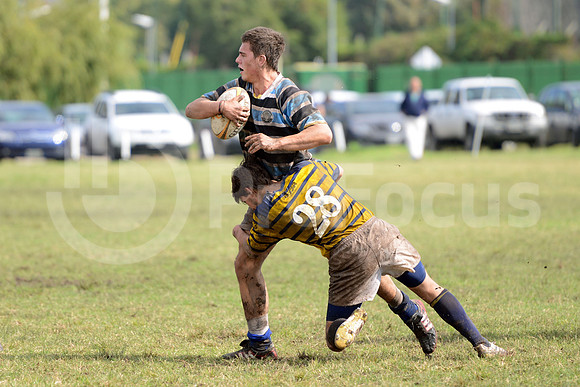 Rugby Juvenil 2013
