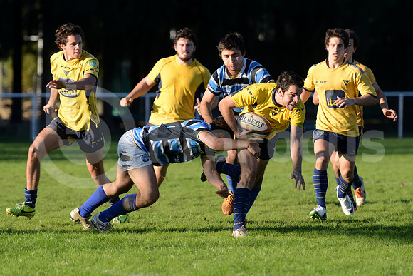 Rugby juvenil M20 2014