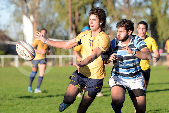 Rugby juvenil M20 2014