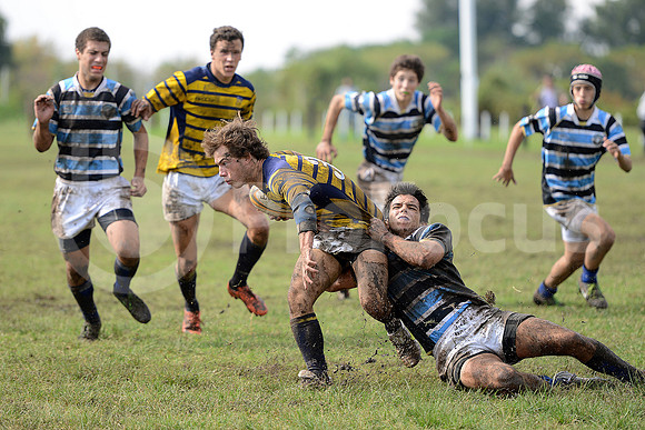 Rugby Juvenil 2013