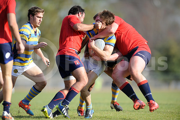 JUVENILES URBA 2015