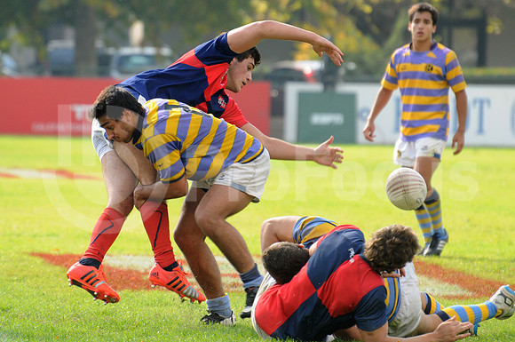 Juveniles URBA 2015