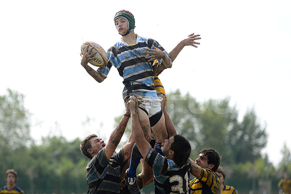 Rugby Juvenil 2013