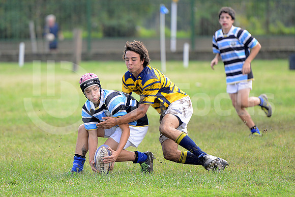 Rugby Juvenil 2013