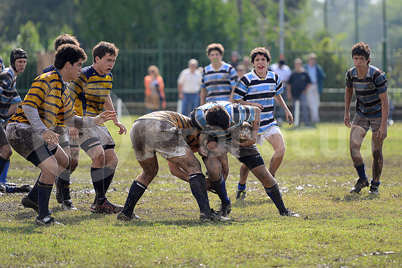 Rugby Juvenil 2013