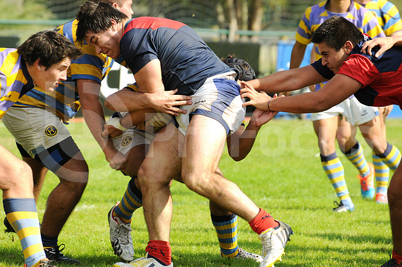 Juveniles URBA 2015