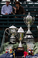 Final 120°Abierto Polo Hurlingham