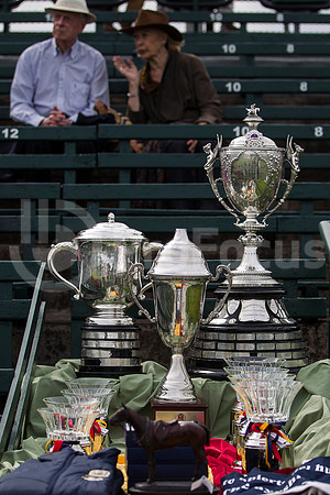 Final 120°Abierto Polo Hurlingham