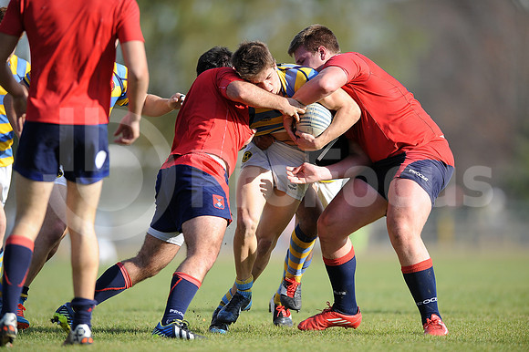 JUVENILES URBA 2015