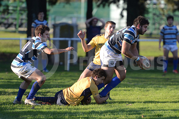 Rugby juvenil M20 2014