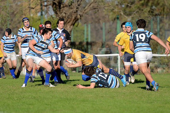 Rugby juvenil M20 2014