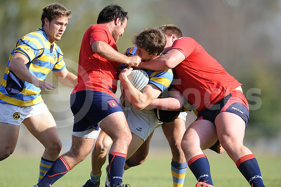 JUVENILES URBA 2015