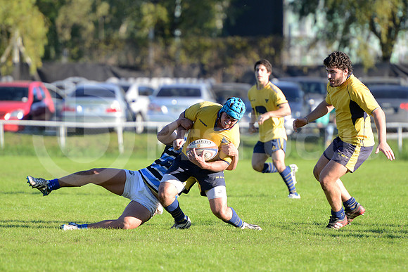 Rugby juvenil M20 2014