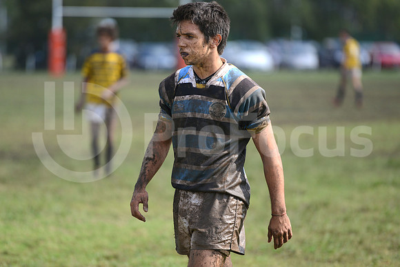 Rugby Juvenil 2013