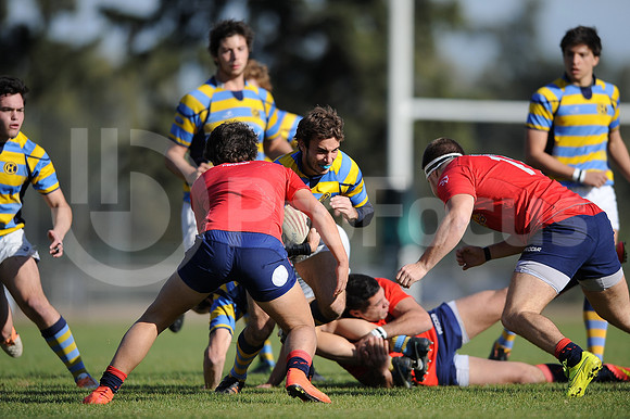 JUVENILES URBA 2015