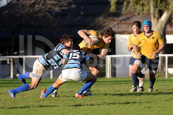 Rugby juvenil M20 2014