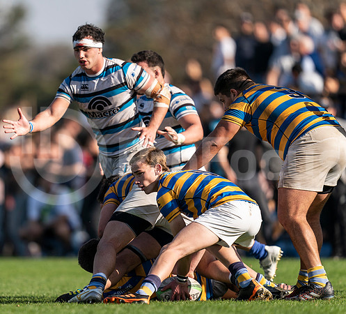Don Torcuato- Buenos Aires- Argentina, 13 de Agosto del 2022, URBA TOP 13, HINDUvs SIC: En un partido por la fecha 18 del URBA TOP 13 se enfrentaron HINDU 35 vs SIC 24