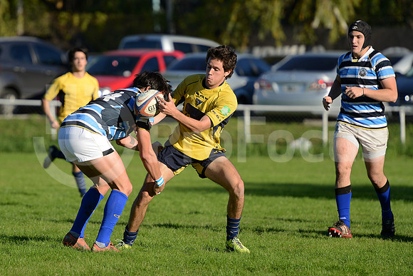Rugby juvenil M20 2014