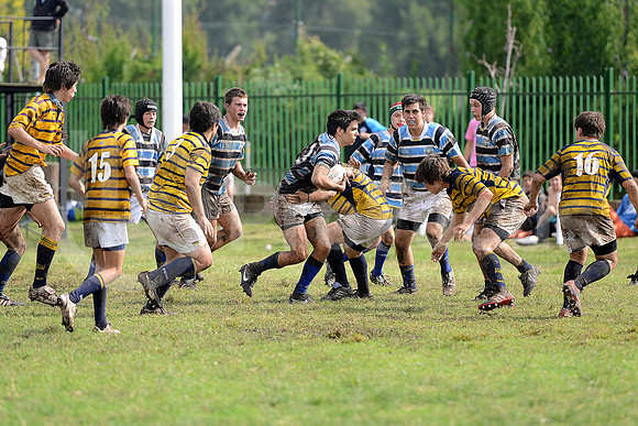 Rugby Juvenil 2013