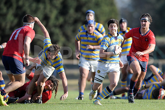 JUVENILES URBA 2015