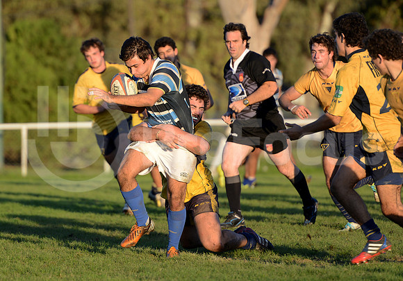 Rugby juvenil M20 2014