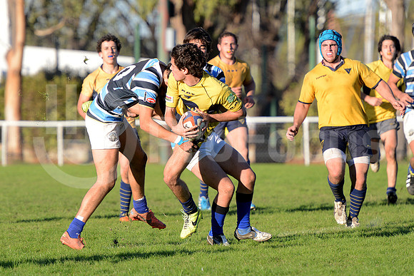 Rugby juvenil M20 2014