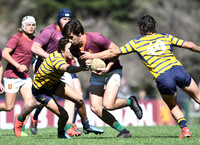 M19 NEWMAN vs REGATAS 01-09-2019