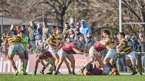 URBA Top 12 Copa Macro: Newman ante Belgrano 26 a 56