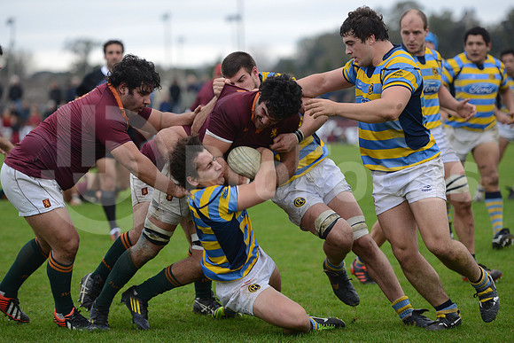URBA TOP 14 2013