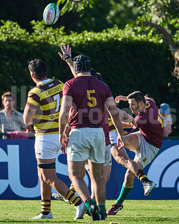 Semifinal - URBA Top 12 Copa Macro - Newman ante Belgrano Athletic 27 a 28