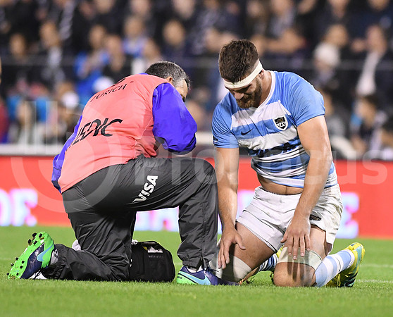 Rugby Championship 2018