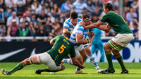PUMAS